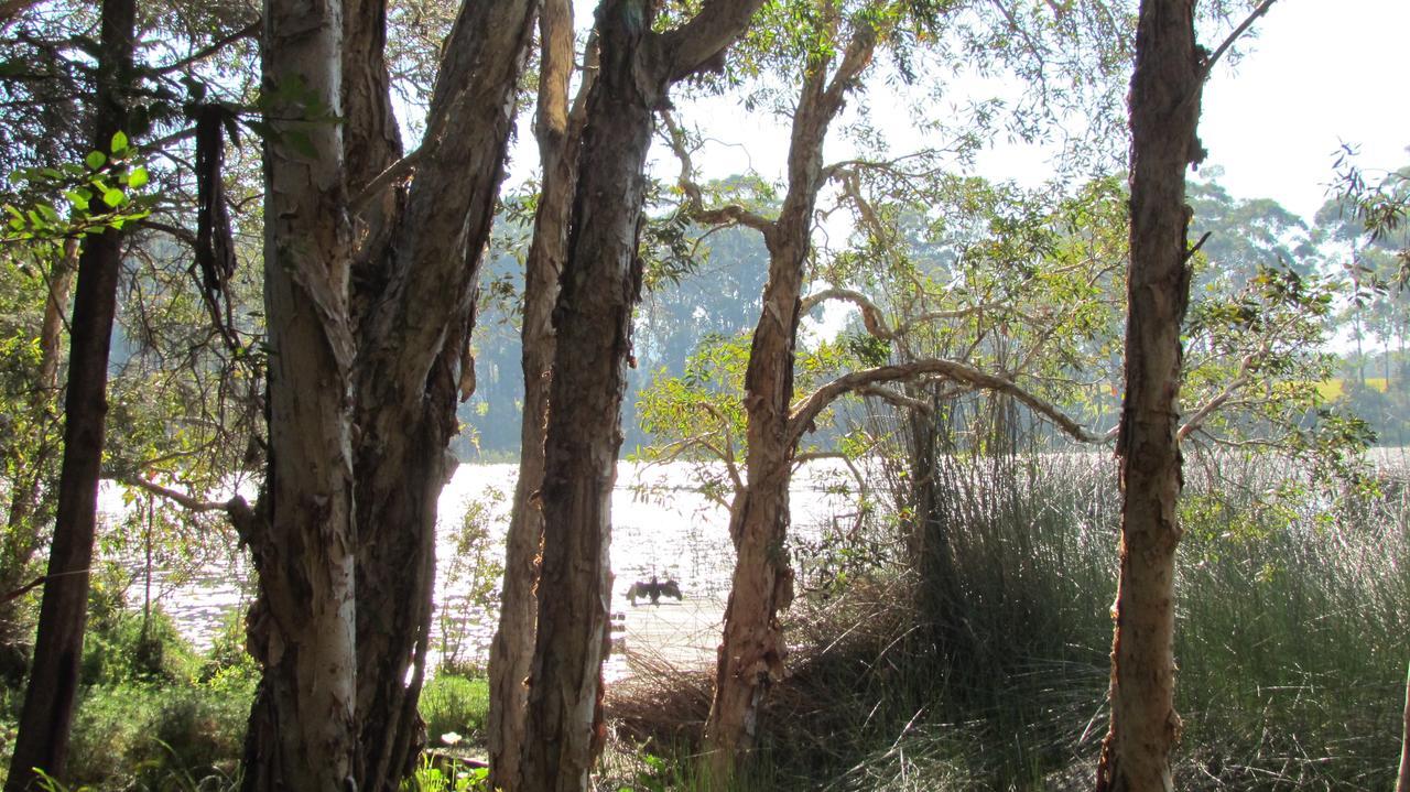 Lake Russell Retreat Emerald Beach Dış mekan fotoğraf